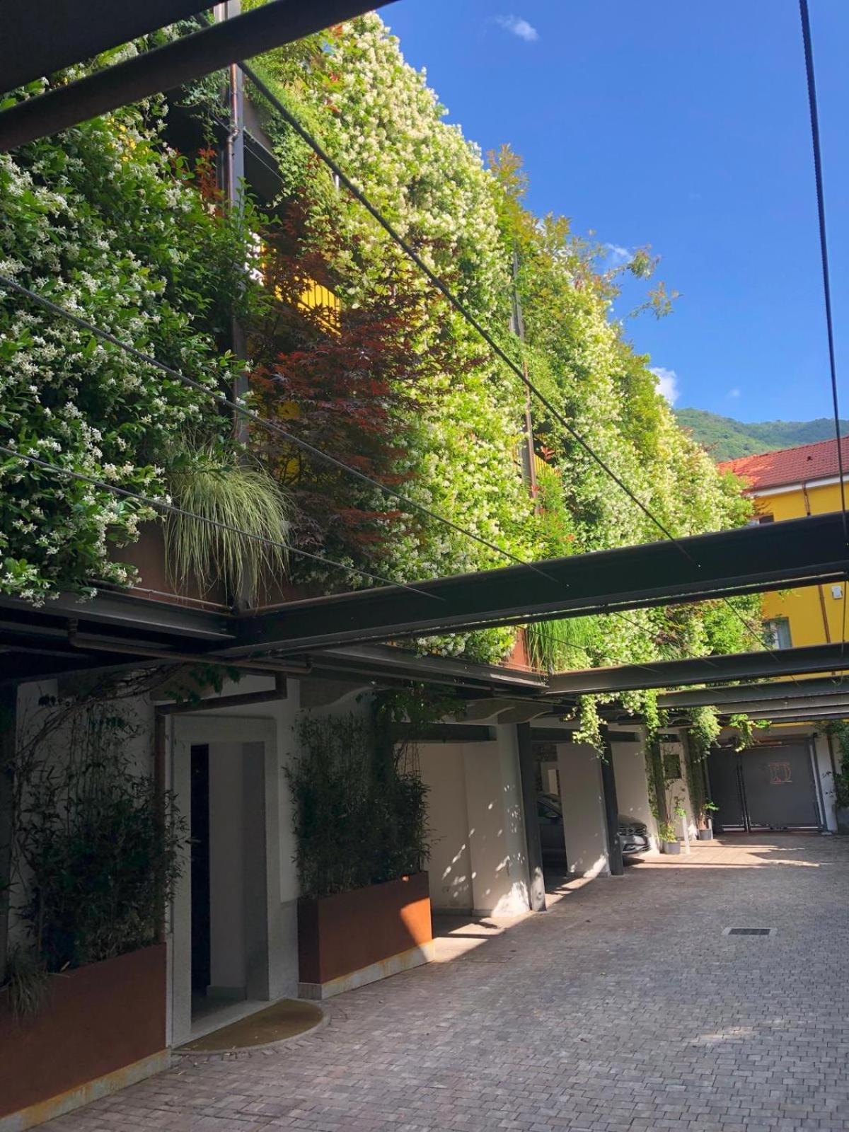 Residence Casa Coppa Appartamento Aster Omegna Exterior foto